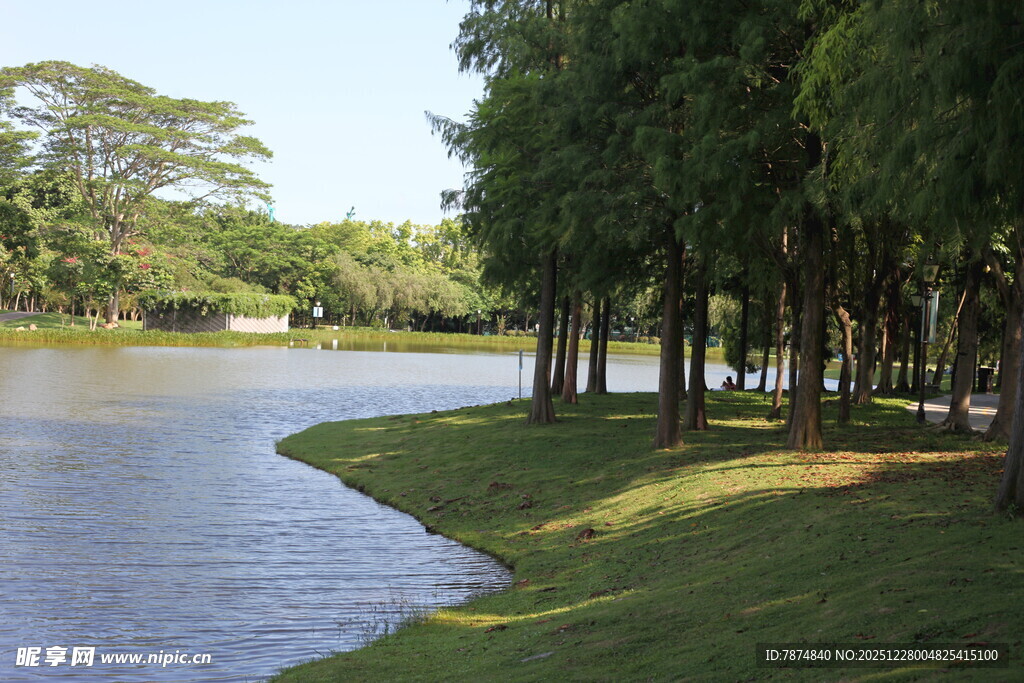 湖畔绿树成荫的宁静风光