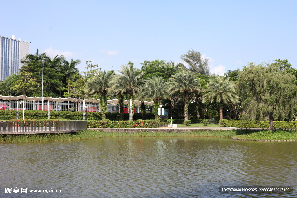 湖畔绿树环绕的宁静风光