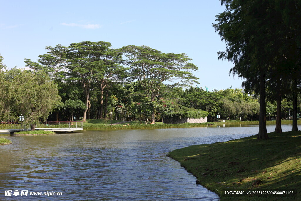 河畔绿树成荫的美丽风光