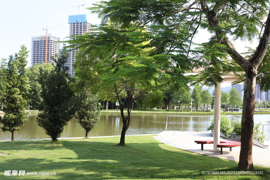 城市公园中的休闲绿地景观