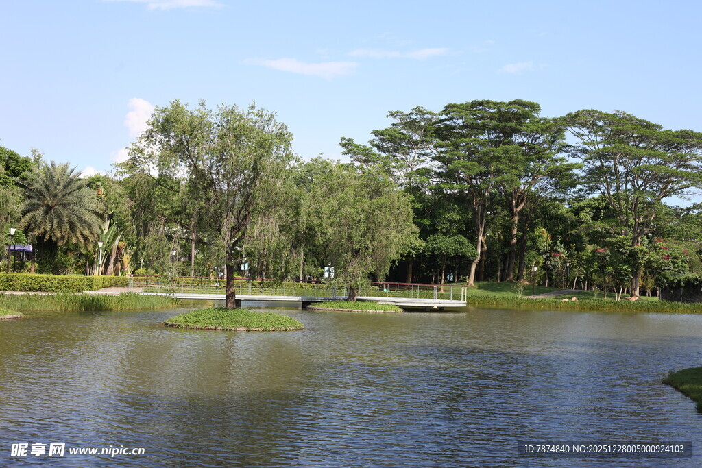 湖畔绿树成荫的宁静景色