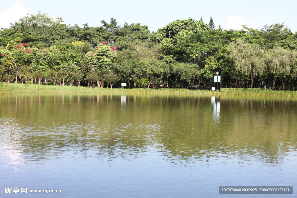 湖畔绿树环绕的宁静风光