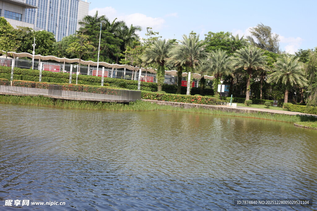 城市中的宁静湖水景观
