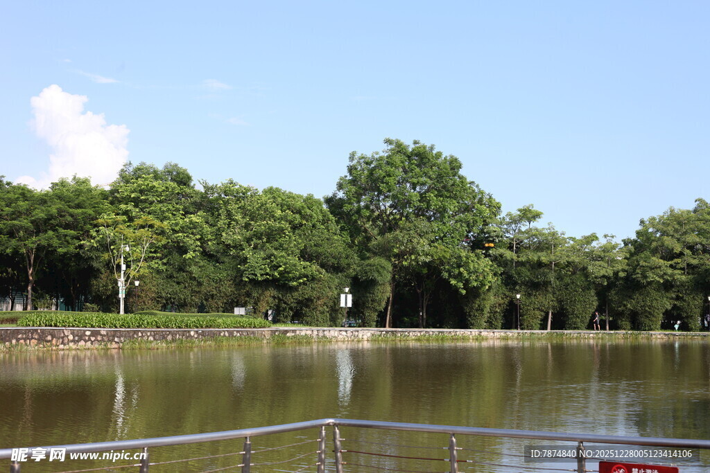 湖畔绿树环绕的宁静风光