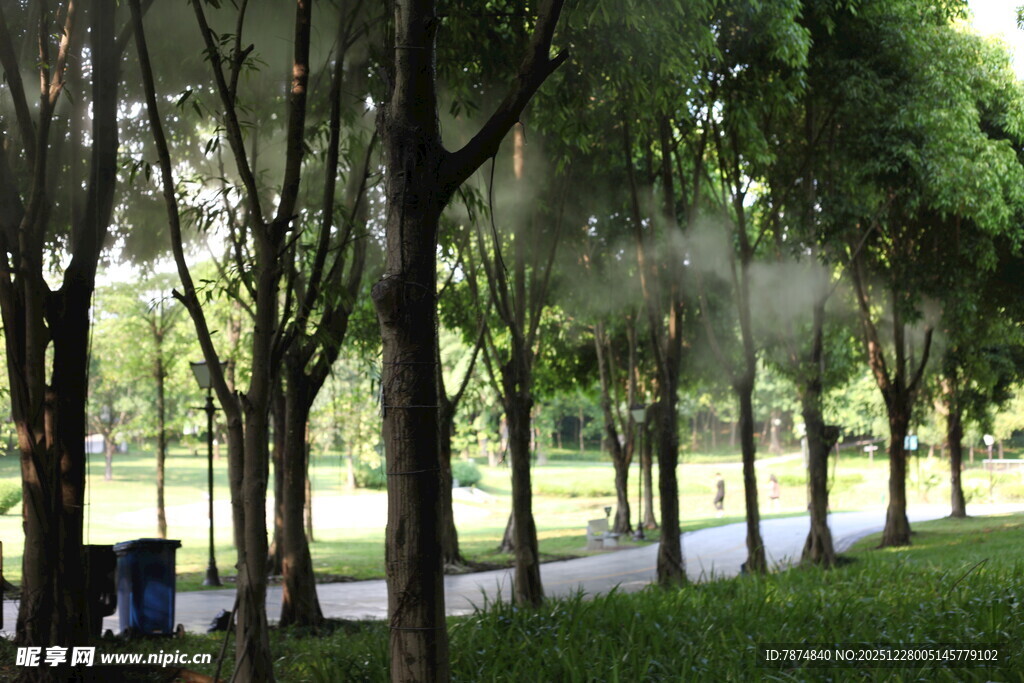 公园林荫道的清新景色