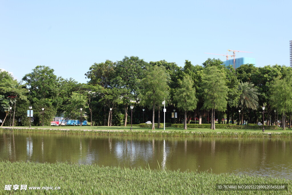湖畔绿树成荫的宁静景致