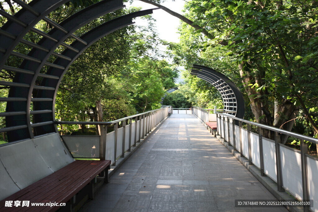 绿荫环抱的拱形步道