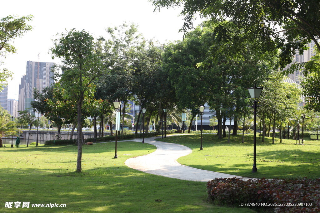 城市公园中的绿荫小径