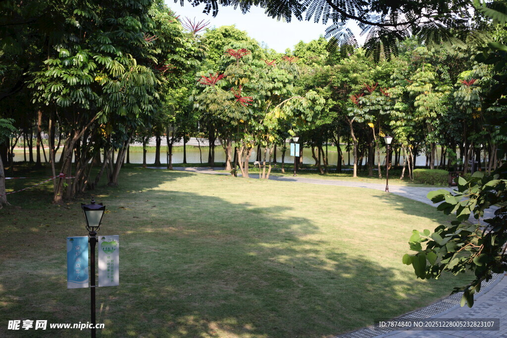 静谧林间草地景观