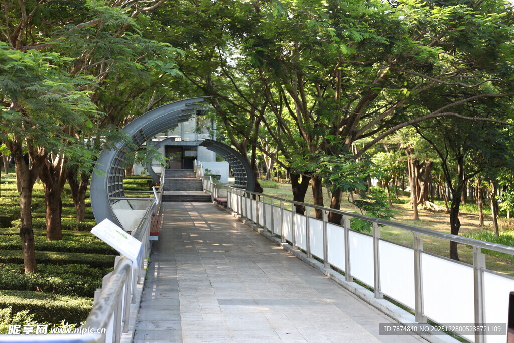 林间拱形步道 绿意盎然