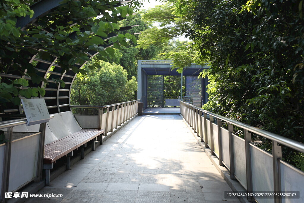 户外绿植环绕的休闲步道