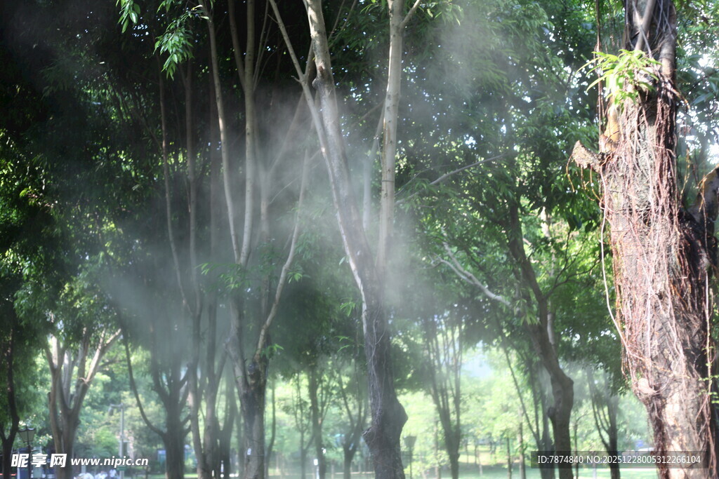 林间喷雾营造清新氛围