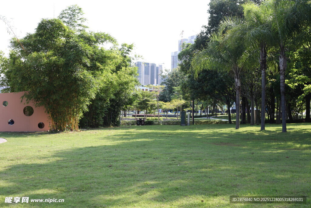 城市中的绿意草坪景观