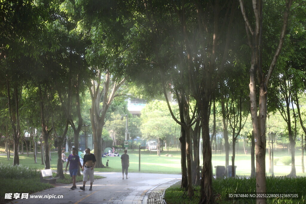 林间漫步道上的悠闲行人