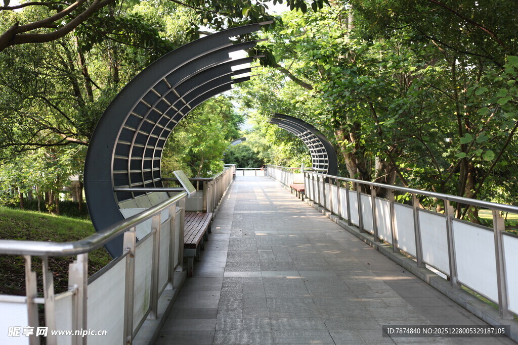 林间拱形步道 静谧景致