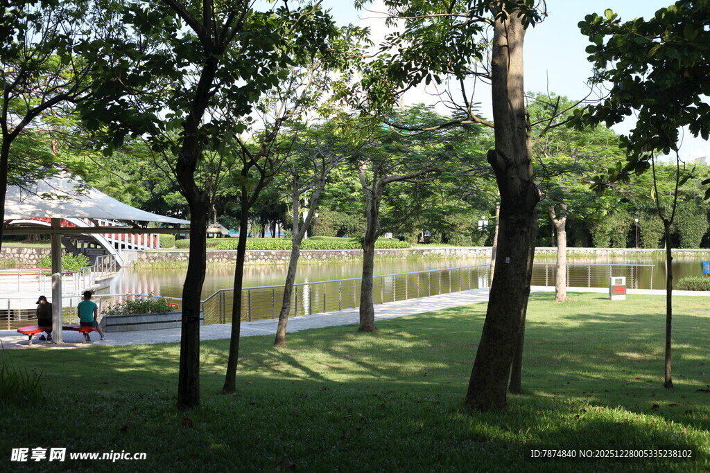 公园绿荫下的休闲户外场景