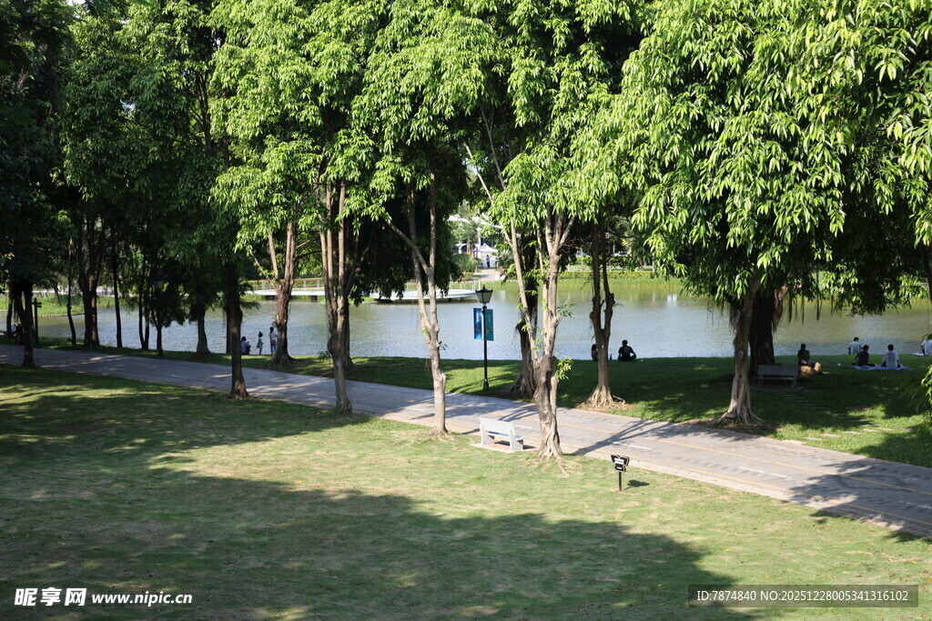 绿树成荫的户外休闲场地