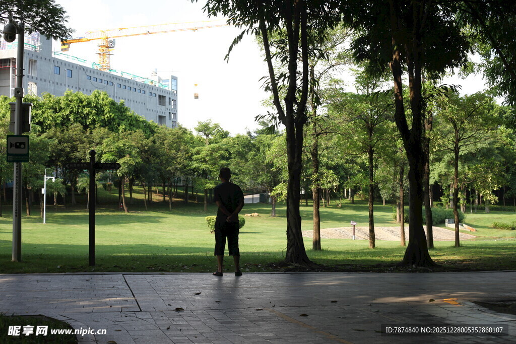 公园中独自站立的身影