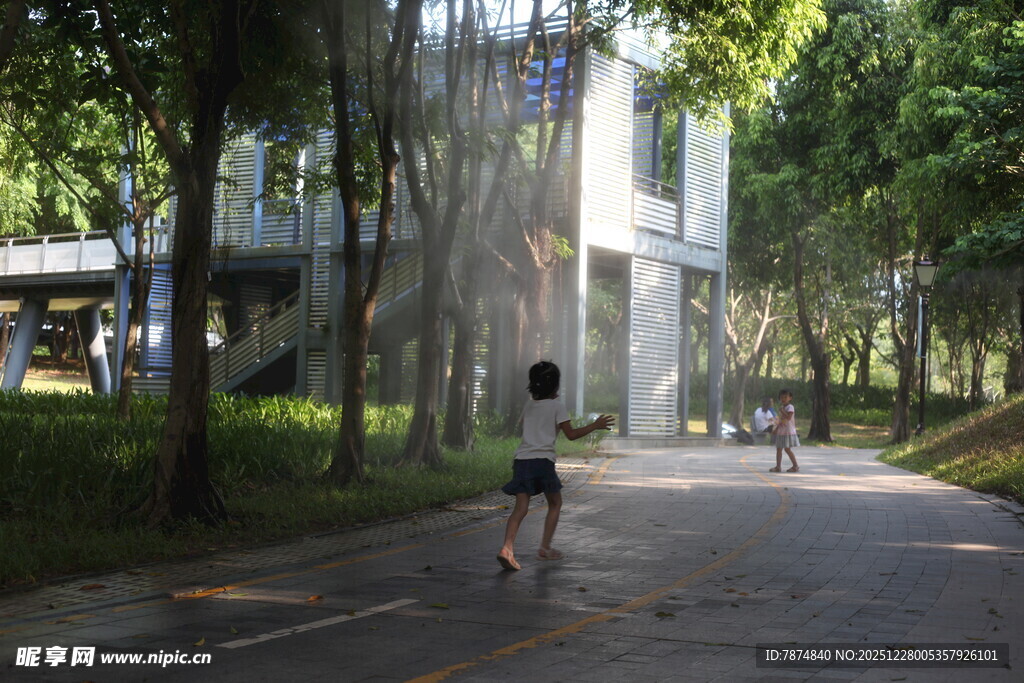 林荫道上的慢跑者