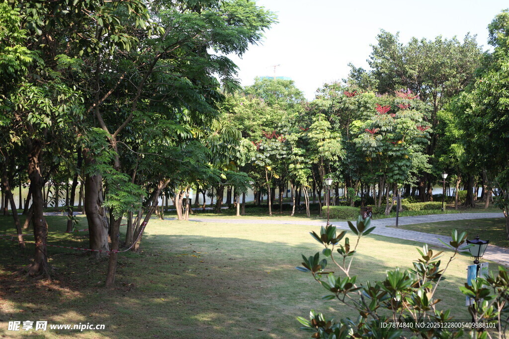 绿意盎然的公园林间小道