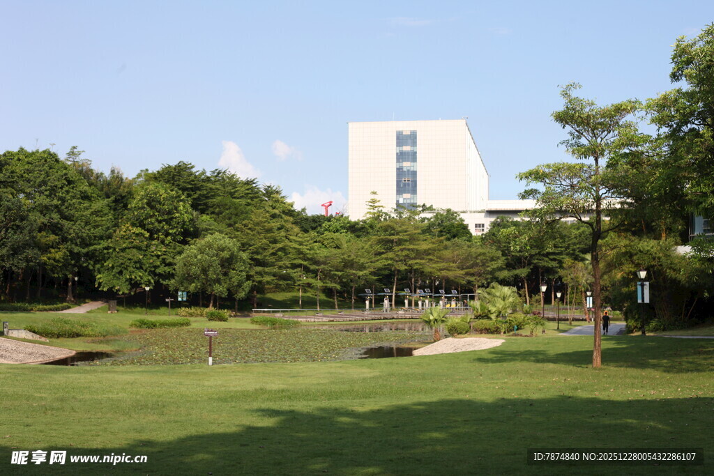 绿树环绕的开阔草坪景观