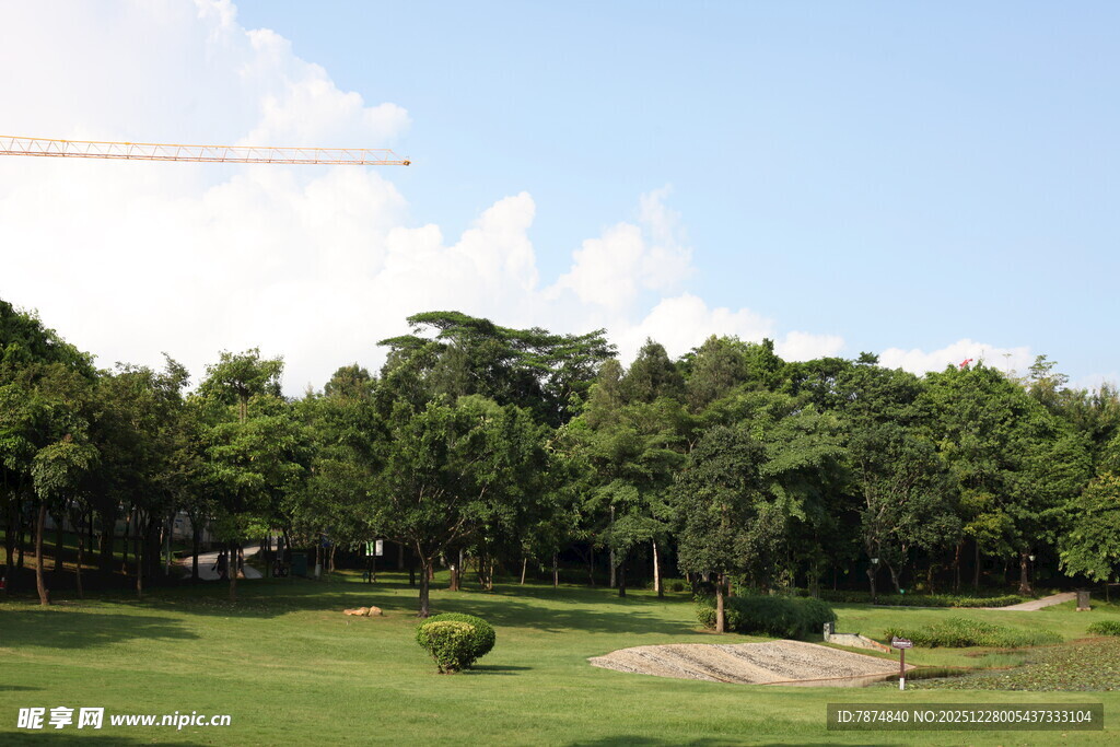 绿意盎然的高尔夫球场风光