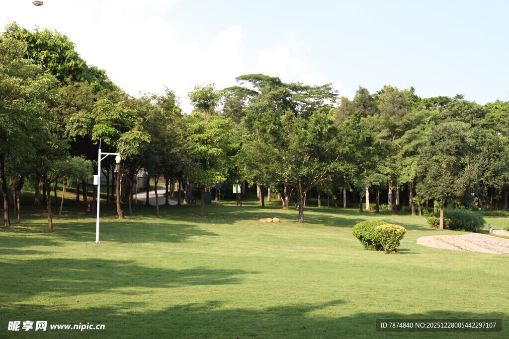 绿意盎然的户外草坪景观