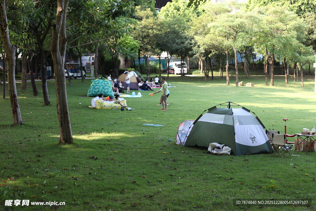 户外草地露营场景