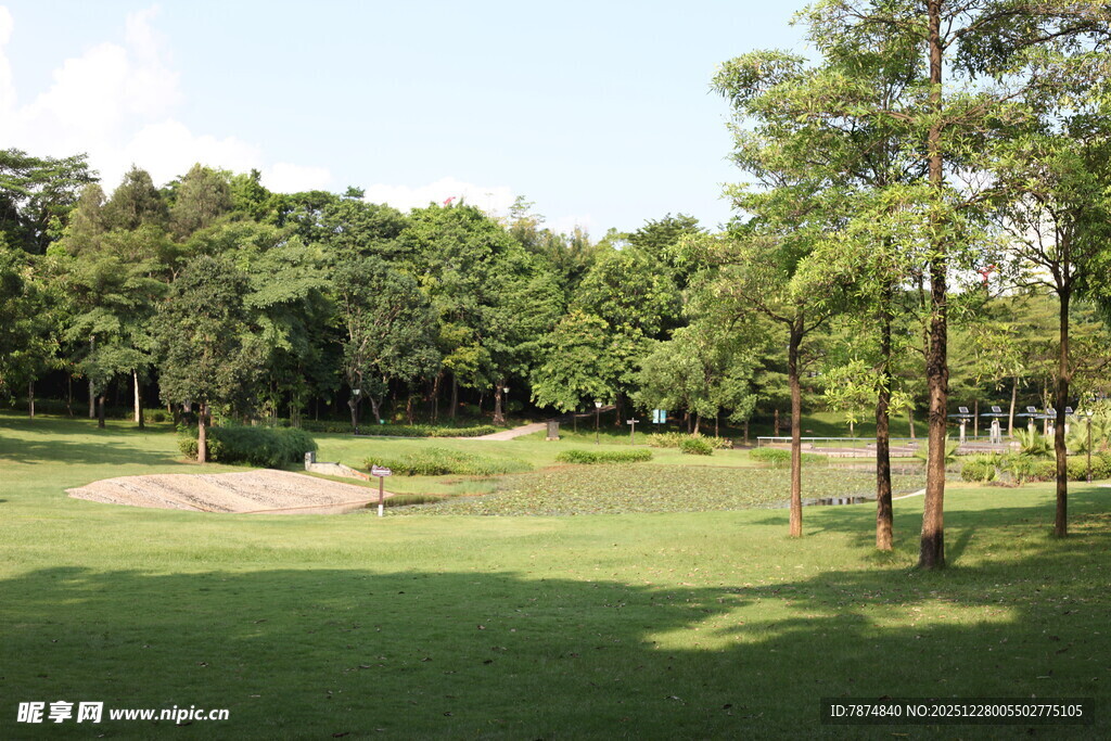 绿意盎然的户外休闲草地