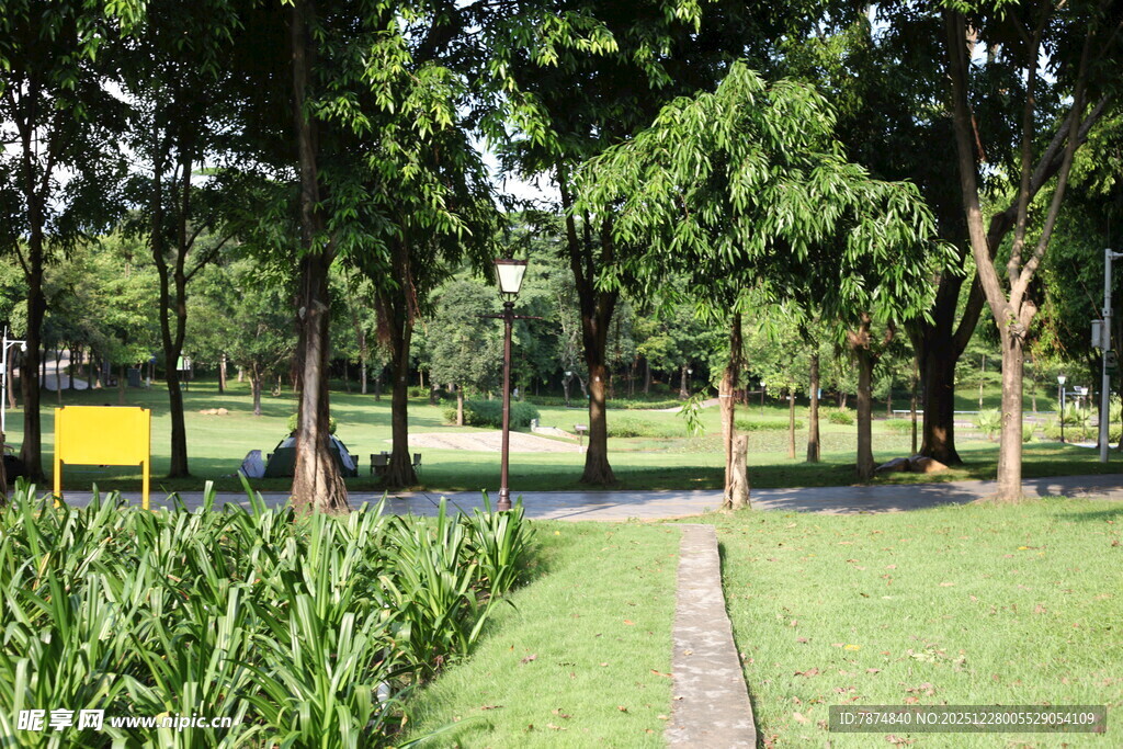 绿意盎然的公园小径