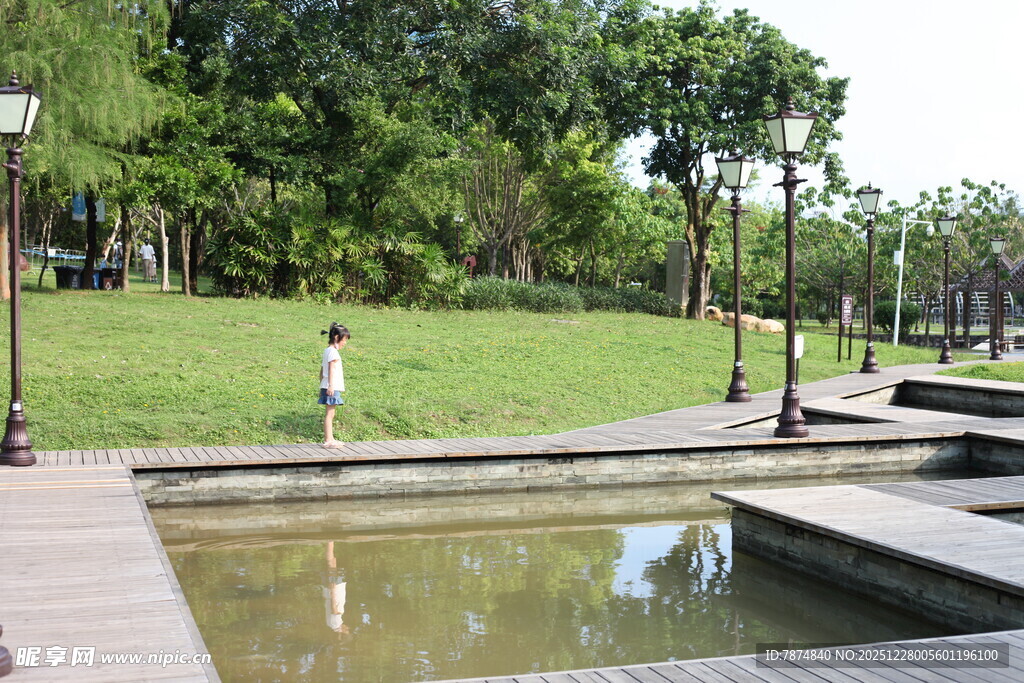 公园中的静谧水景与绿植