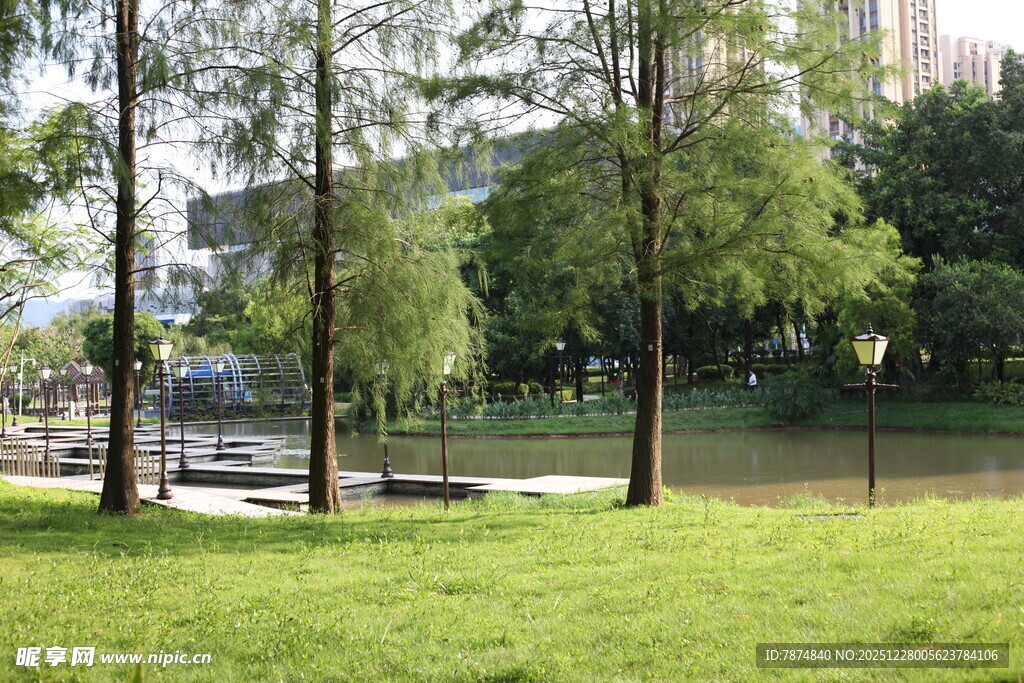 城市中的静谧绿地景观