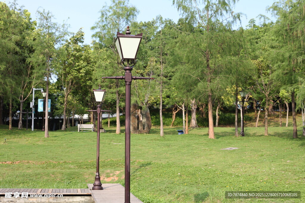 公园林荫下的路灯景观