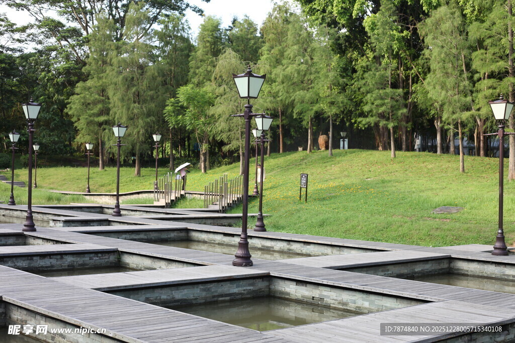 公园中的规整水景与路灯