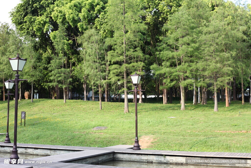 公园绿荫下的静谧景致