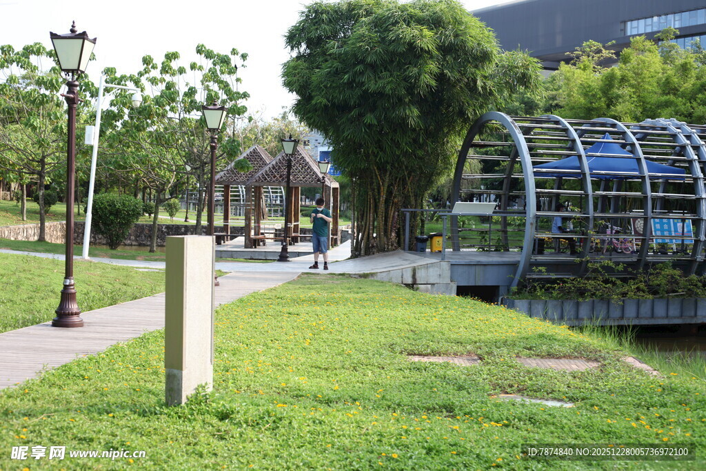 城市公园中的休闲景致