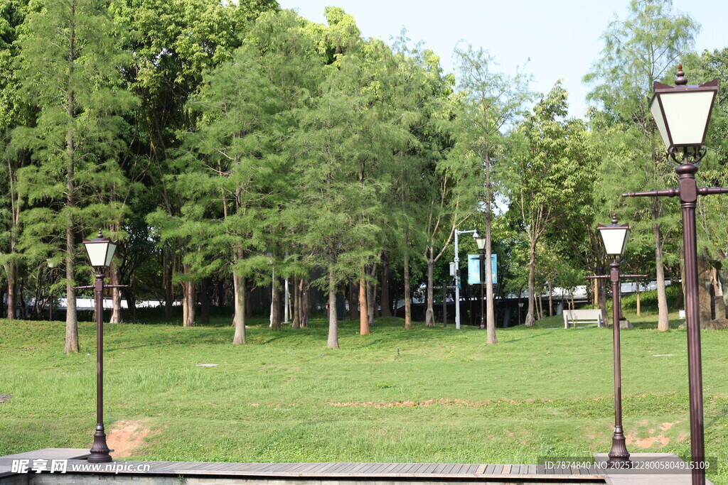公园草地与路灯景观