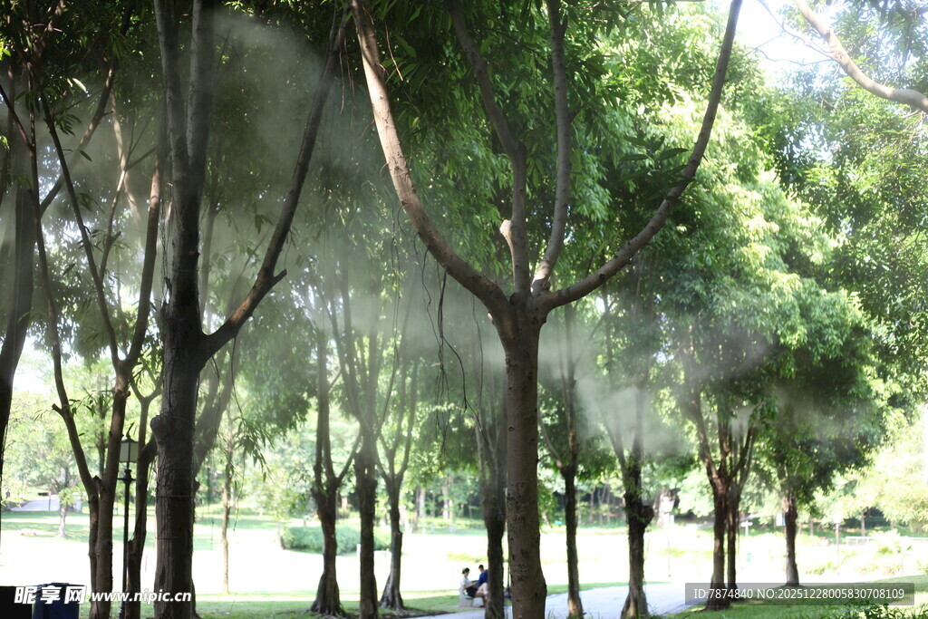 夏日林荫公园美景