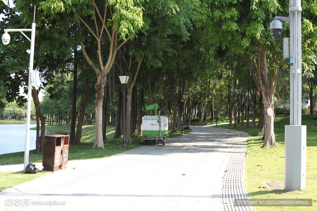 林荫小道 静谧自然风景