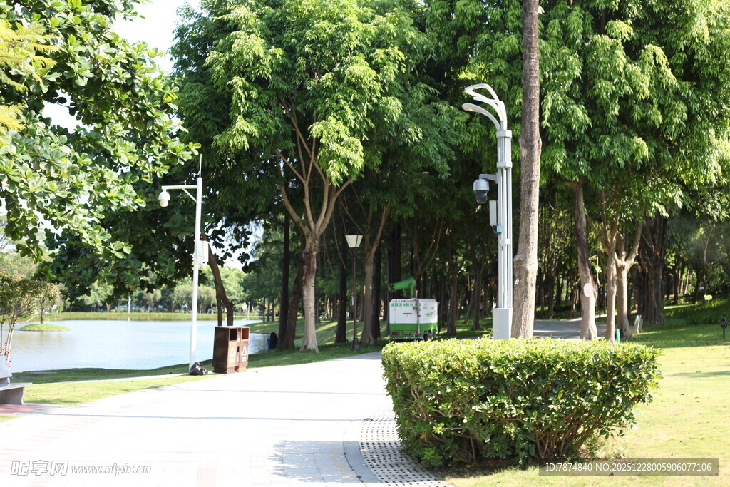 公园林荫小道优美景致