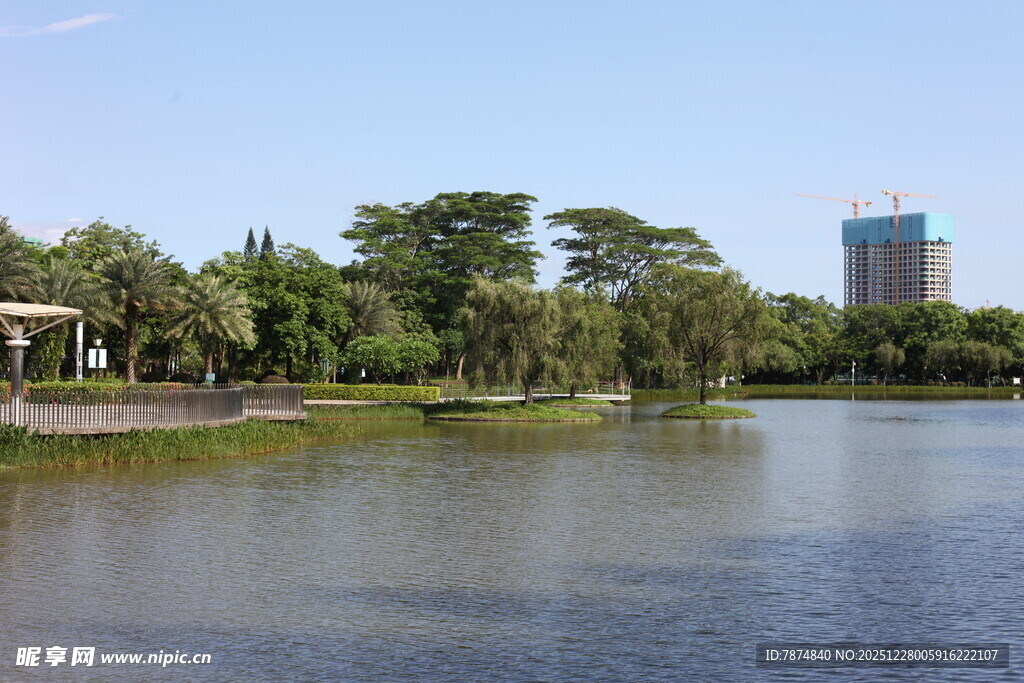 湖畔绿树环绕的宁静风光