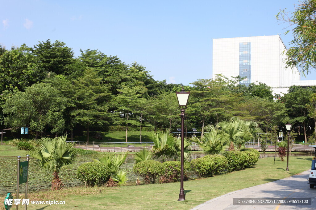 城市中的绿意公园景致