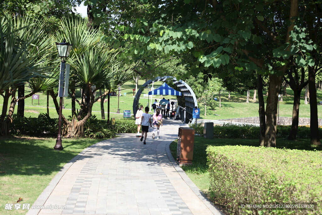 公园绿荫下的休闲步道