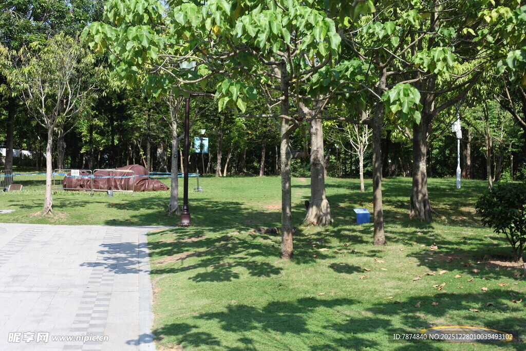 绿意盎然的公园休闲场景