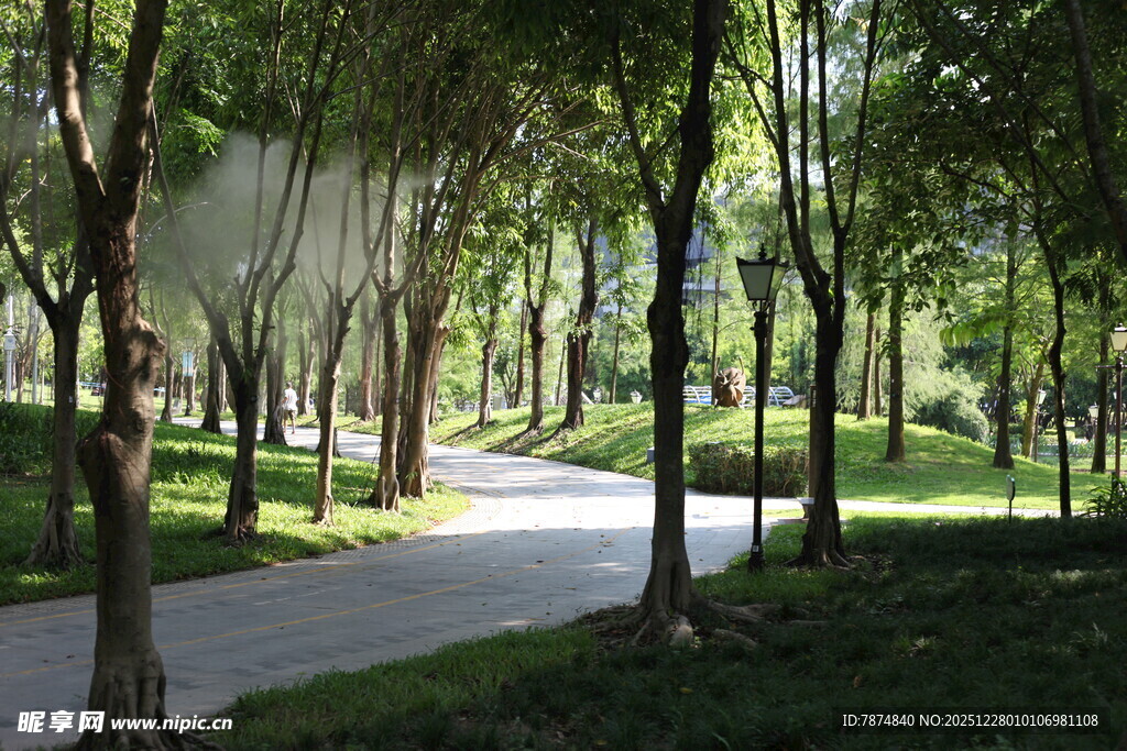 林间幽静小道 绿意盎然