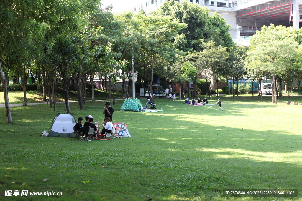 公园草地露营休闲场景