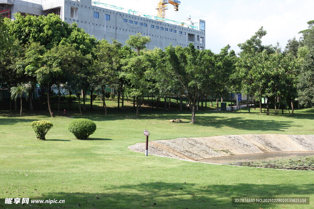 城市中的绿意草坪景观