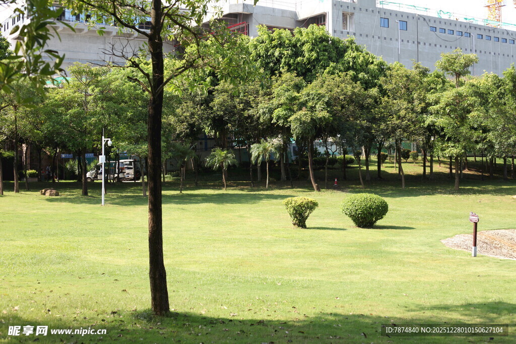 城市中的静谧草坪景观