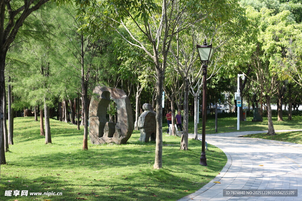 城市林荫道的静谧风光