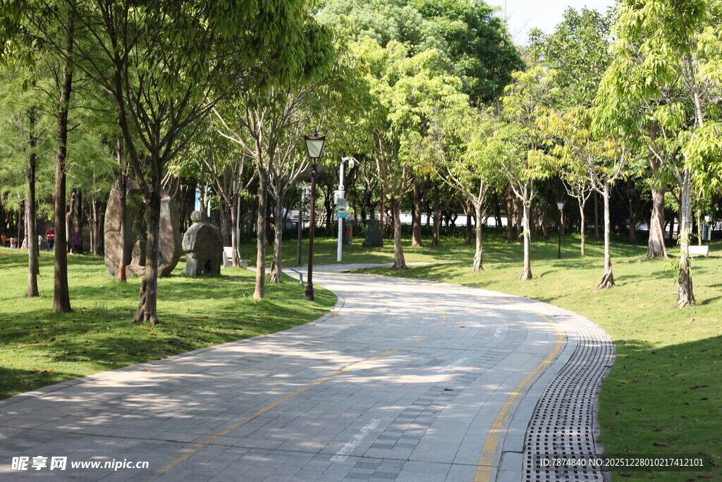 林荫小道 静谧的户外景致